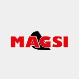 Magsi Logo